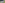 HONDA CITY 5TH GEN(2020-2023) ZX CVT PETROL BS-VI image