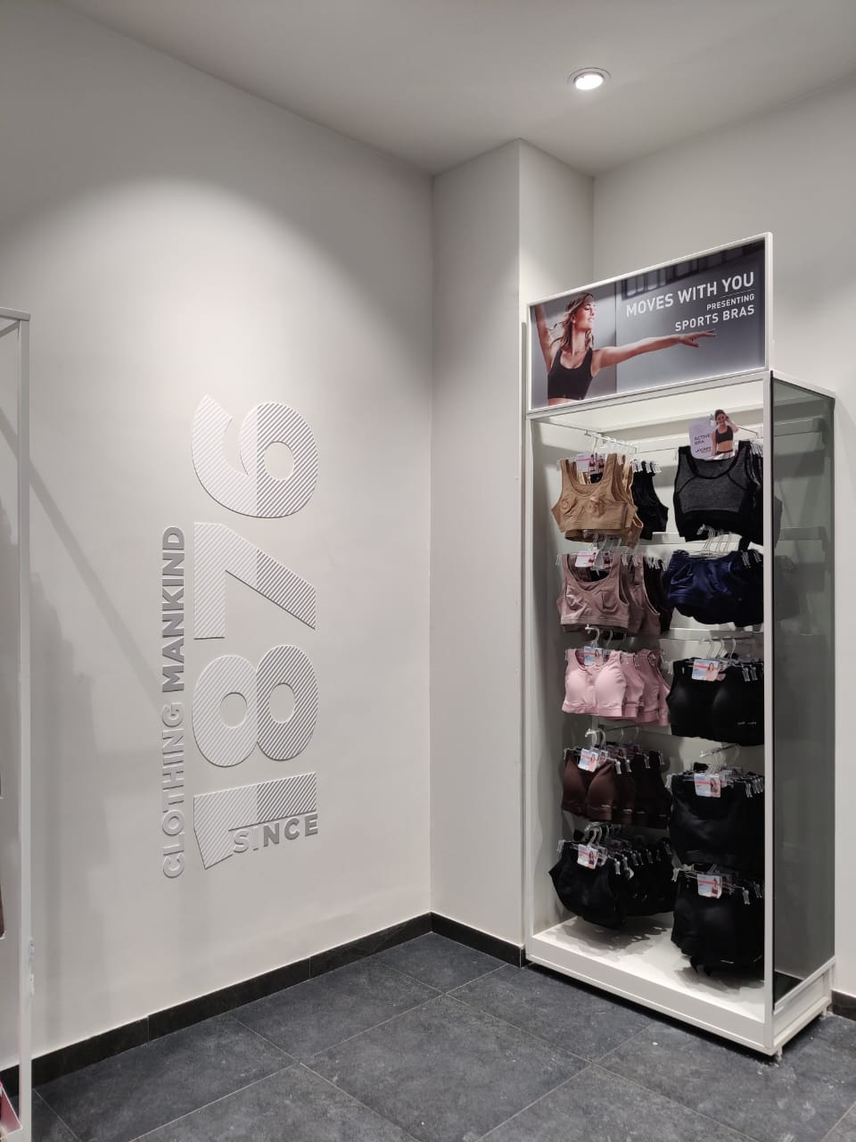Gallery Image 7