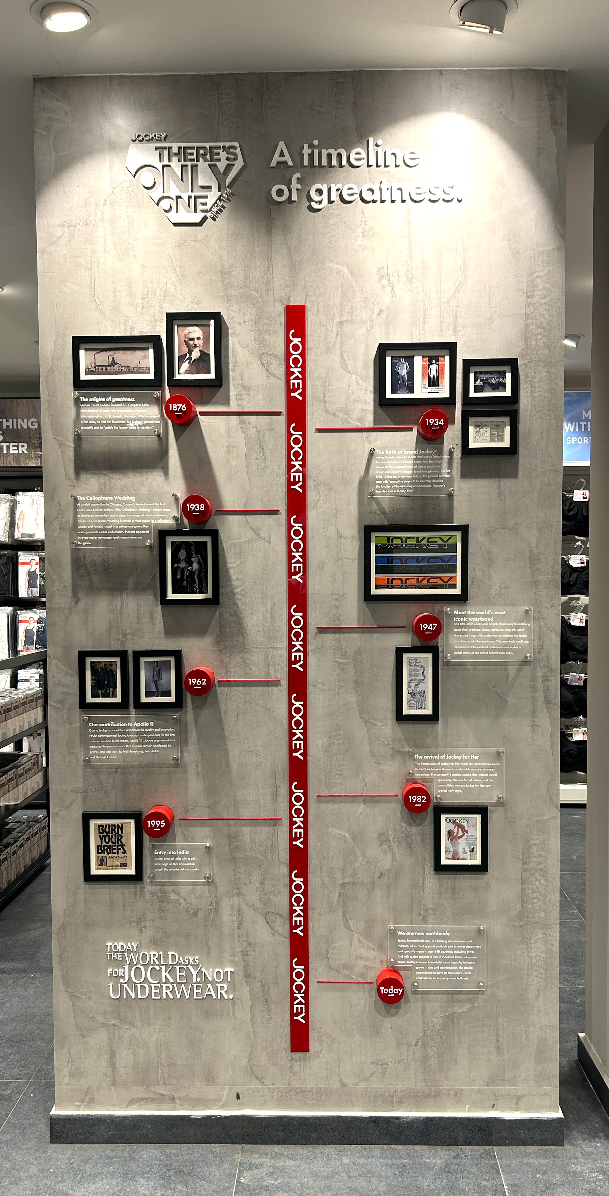 Gallery Image 11