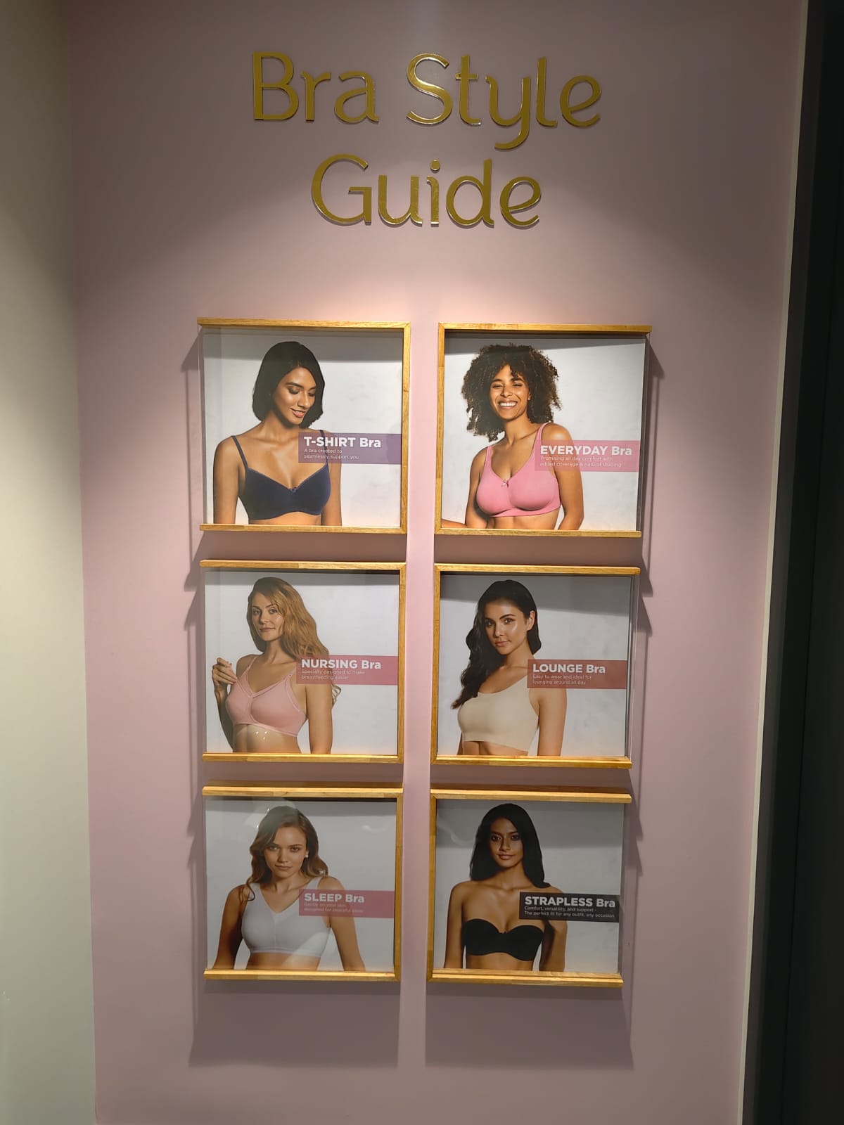 Gallery Image 8