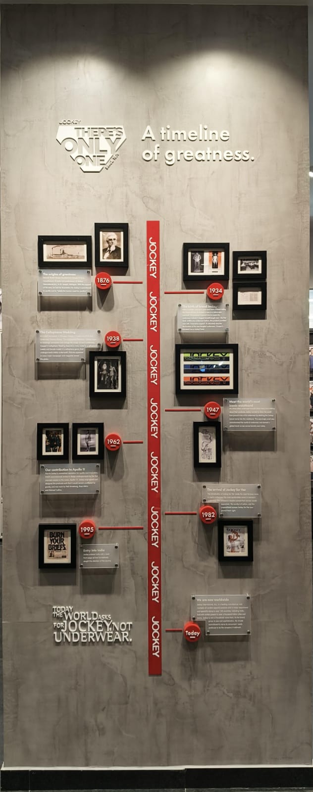 Gallery Image 16